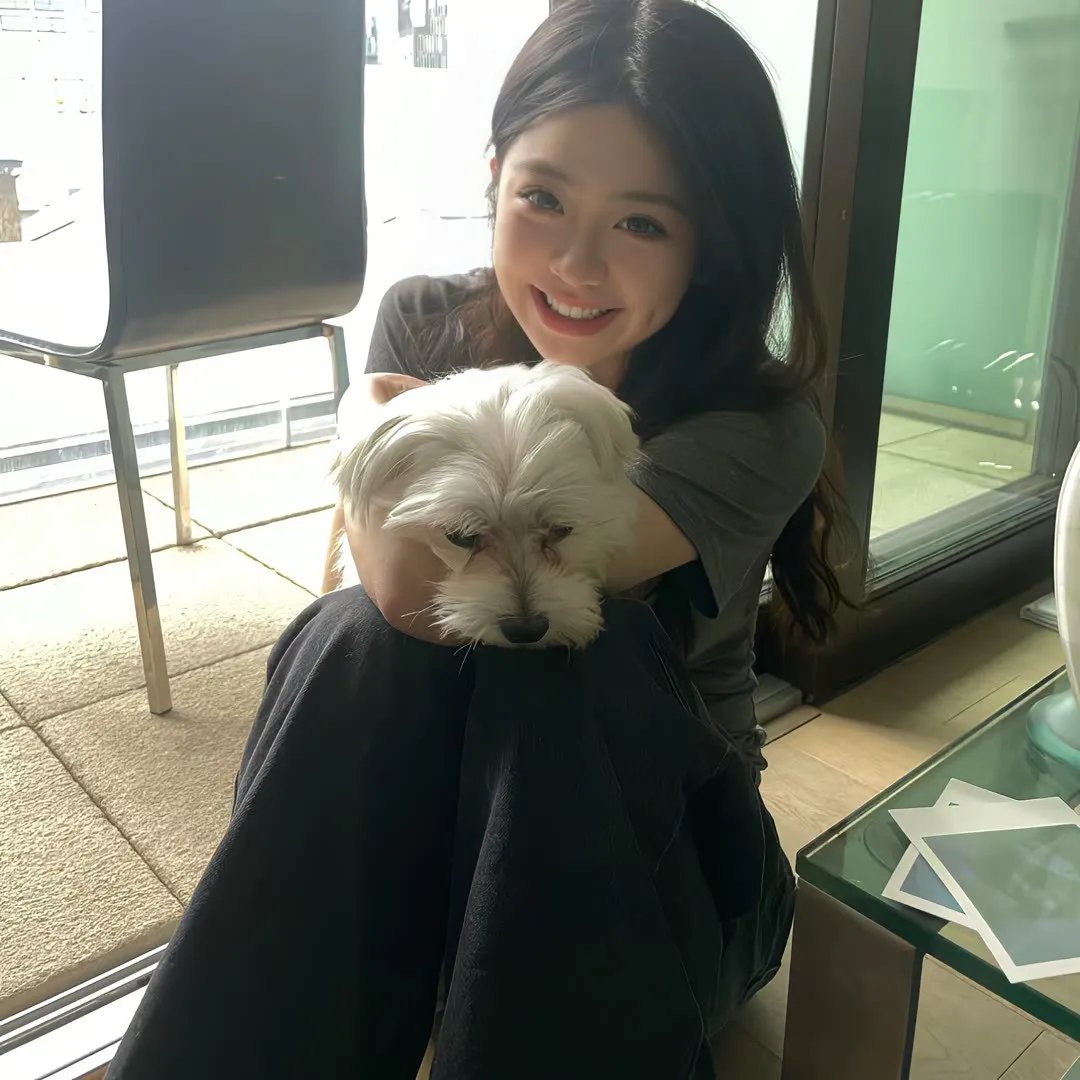 毛驴县令之虎口拔牙